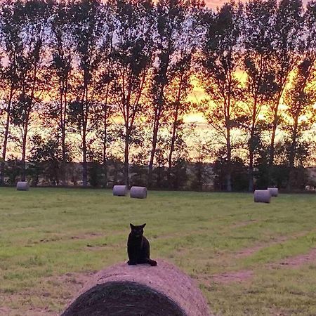 Ferienwohnung Kompass Nahe Der Ostsee Im Gruenen Bad Doberan Zewnętrze zdjęcie