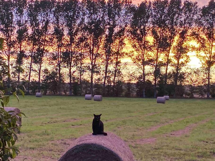 Ferienwohnung Kompass Nahe Der Ostsee Im Gruenen Bad Doberan Zewnętrze zdjęcie
