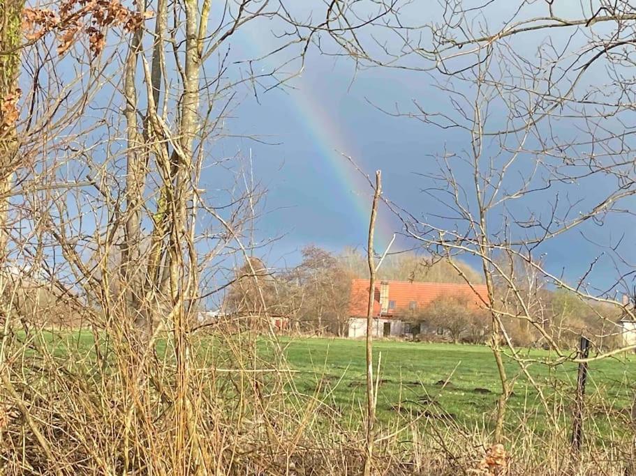 Ferienwohnung Kompass Nahe Der Ostsee Im Gruenen Bad Doberan Zewnętrze zdjęcie